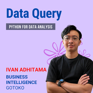 Data Query