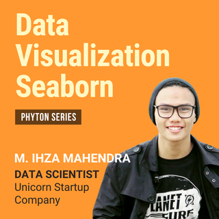 Data Visualization Seaborn