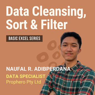 Data Cleansing, Sort & Filter in Microsoft Excel