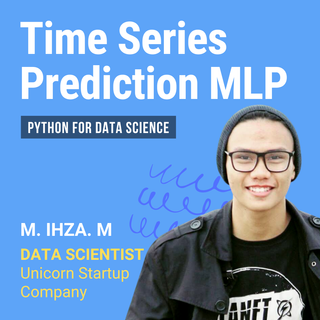 Time Series Prediction MLP