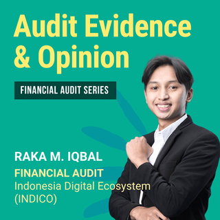 Audit Evidence & Opinion