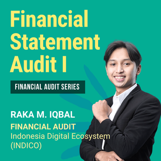 Financial Statement Audit I