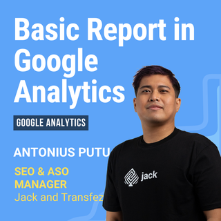 Basic Report in Google Analytics