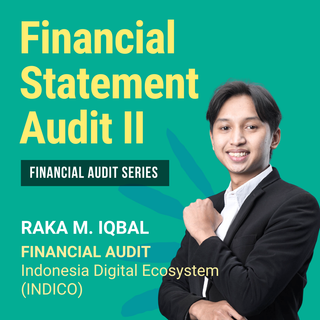 Financial Statement Audit II