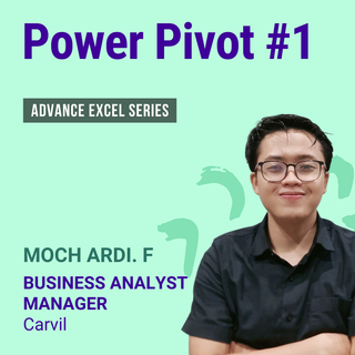 Power Pivot #1