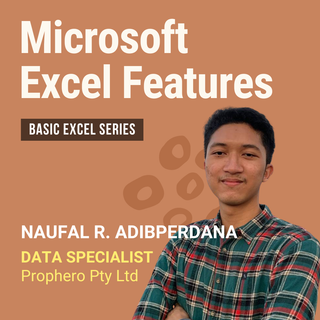 Microsoft Excel Features