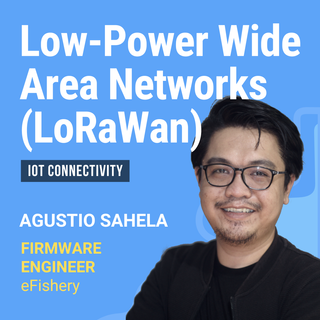 Low-Power Wide Area Networks (LoRaWan)