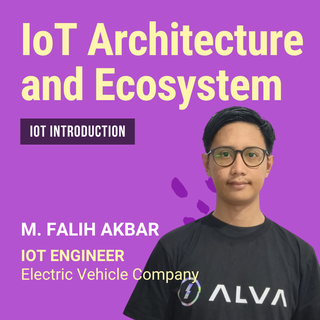 IoT Architecture and Ecosystem