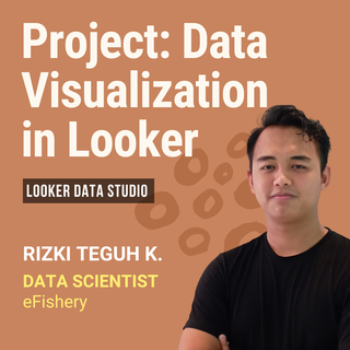 Project: Data Visualization in Looker