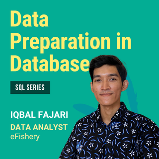 Data Preparation in Database