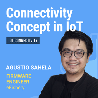 Connectivity Concept in IoT