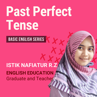 Past Perfect Tense