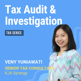 Tax Audit and Investigation