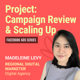 FB Ads Campaign Review & Scaling Up