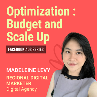 Optimization: Budget and Scale Up